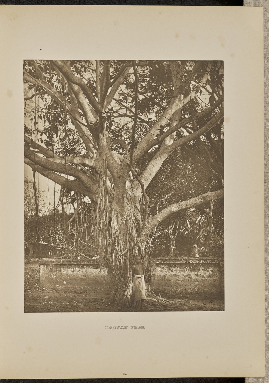  av Henry W. Cave