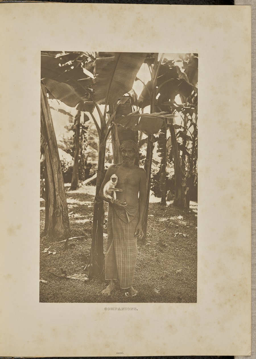  av Henry W. Cave