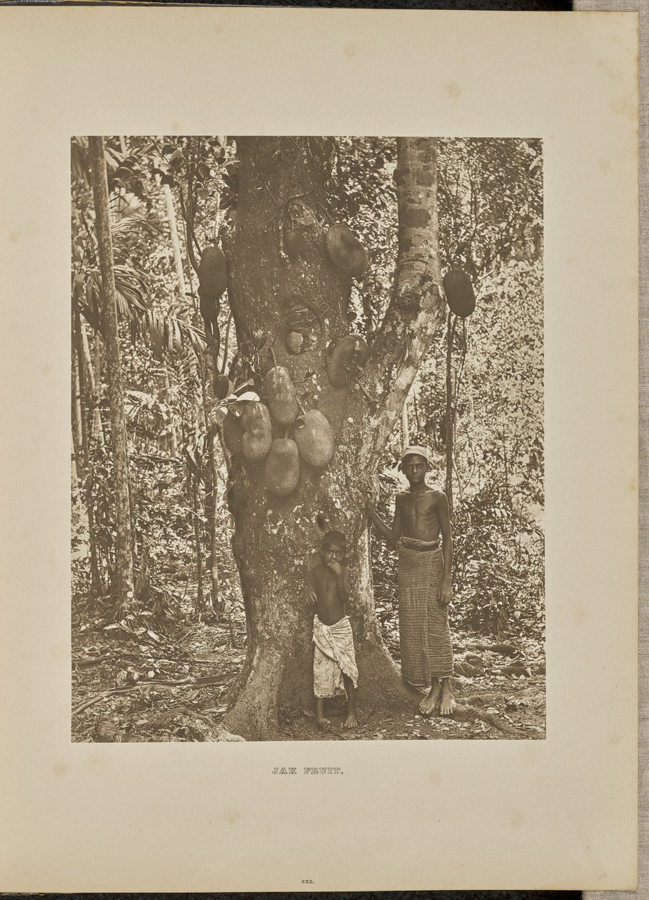  av Henry W. Cave