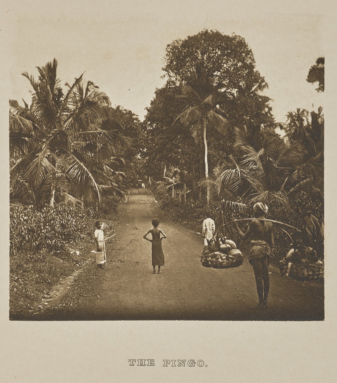  av Henry W. Cave