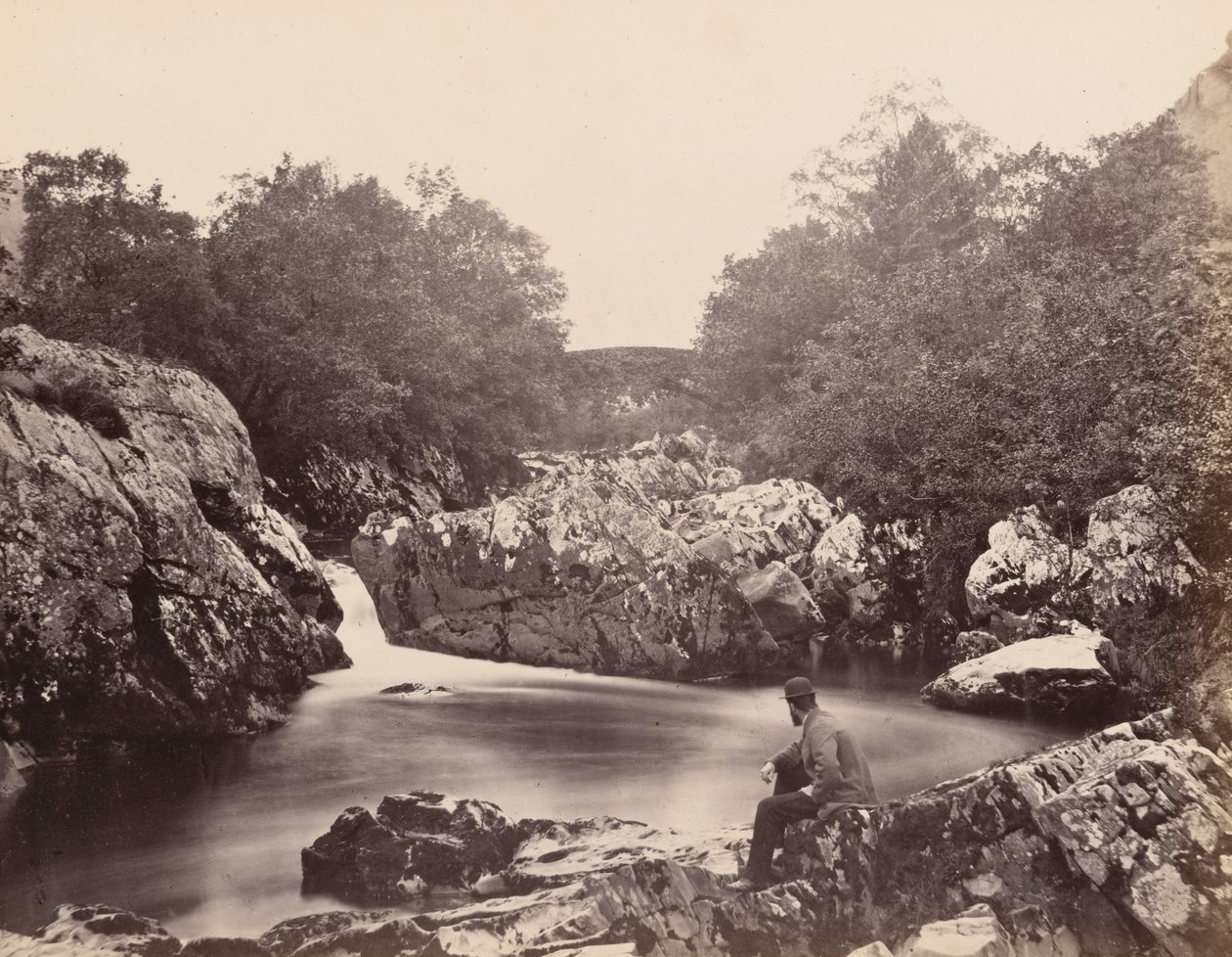  av Henry White
