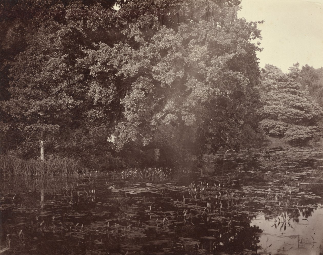  av Henry White
