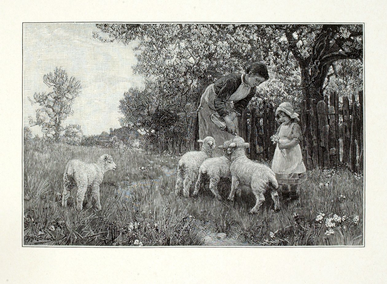  av Henry Wolf