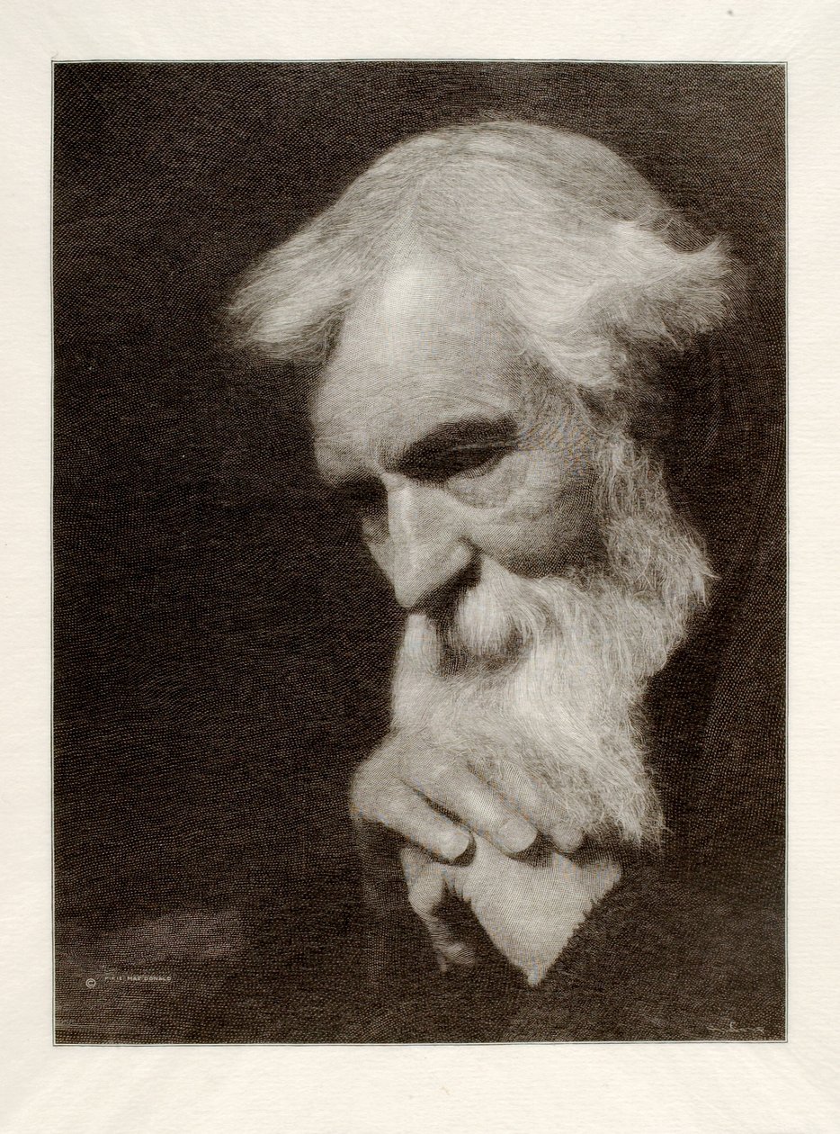  av Henry Wolf