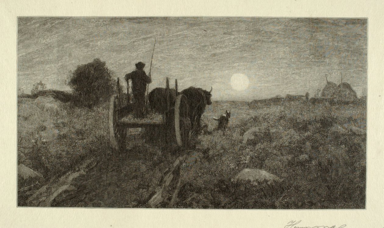  av Henry Wolf