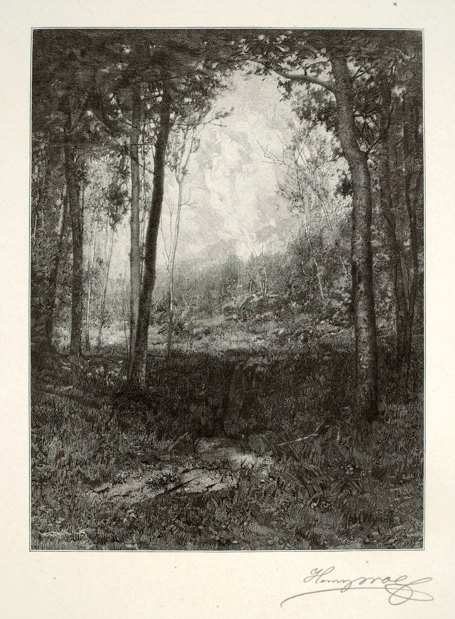  av Henry Wolf