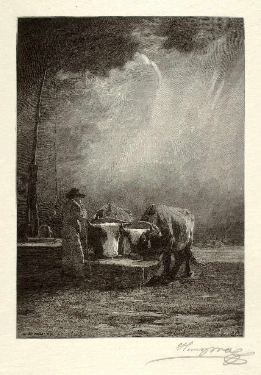  av Henry Wolf