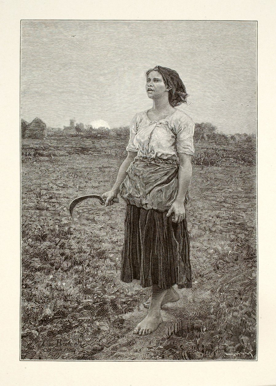  av Henry Wolf