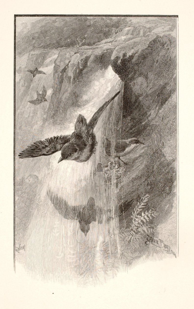  av Henry Wolf