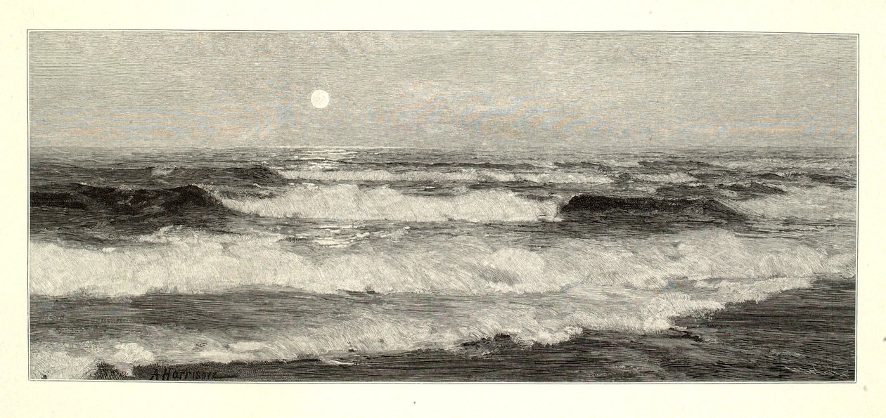  av Henry Wolf
