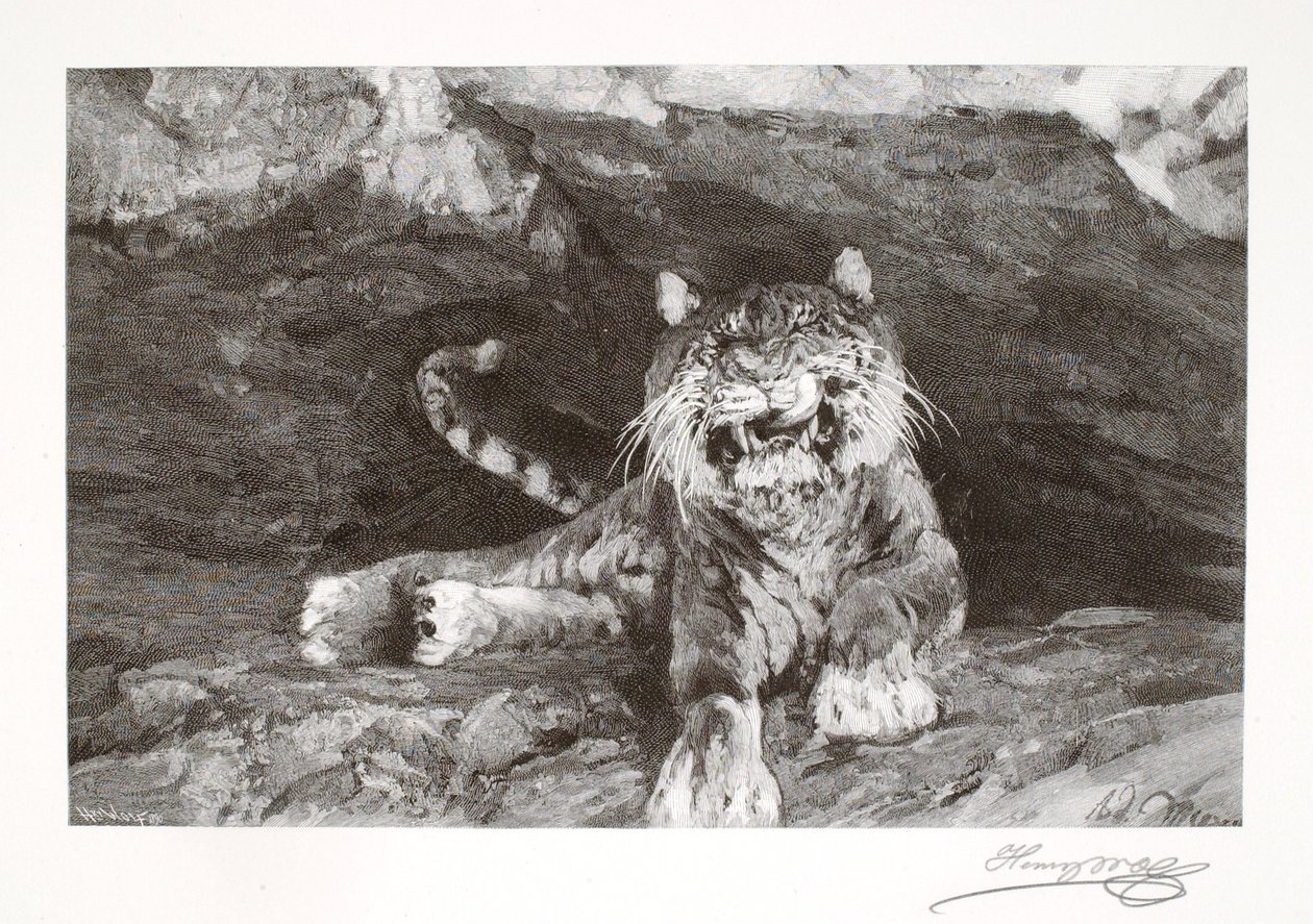  av Henry Wolf