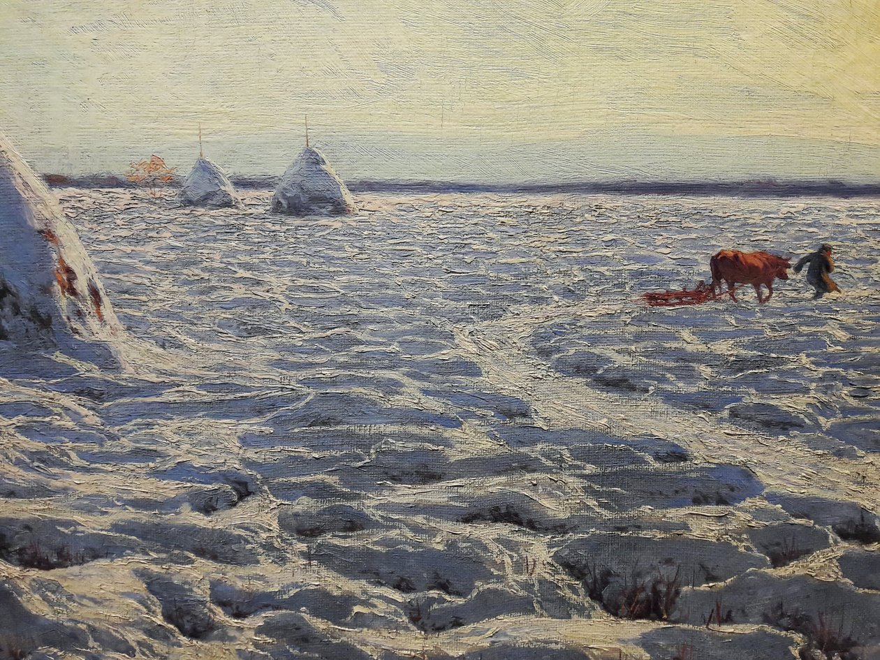 Litauiske sumper under snø av Henryk Weyssenhoff