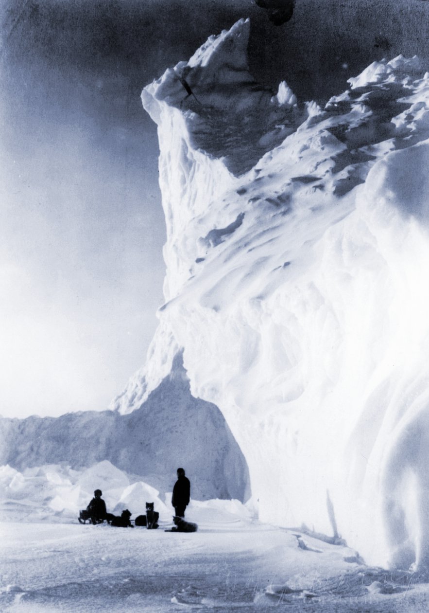 Hundespann hviler under Terra Nova-ekspedisjonen, 1910 av Herbert Ponting
