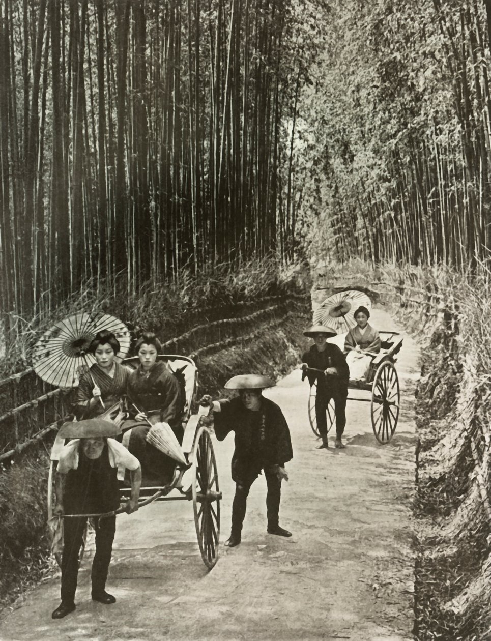 A Bamboo Avenue i Kyoto, 1910. av Herbert Ponting