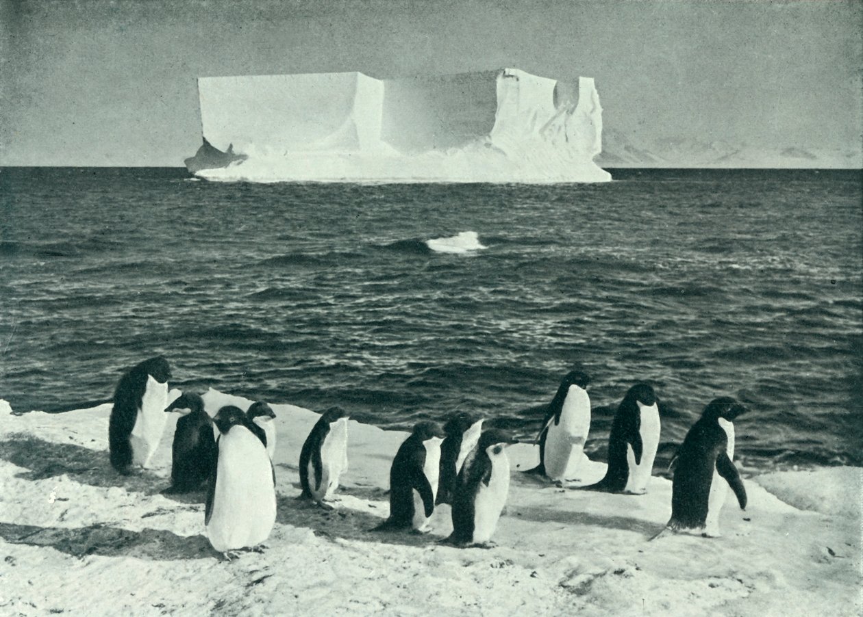 A Berg Drifting in McMurdo Sound, c19101913, 1913. av Herbert Ponting