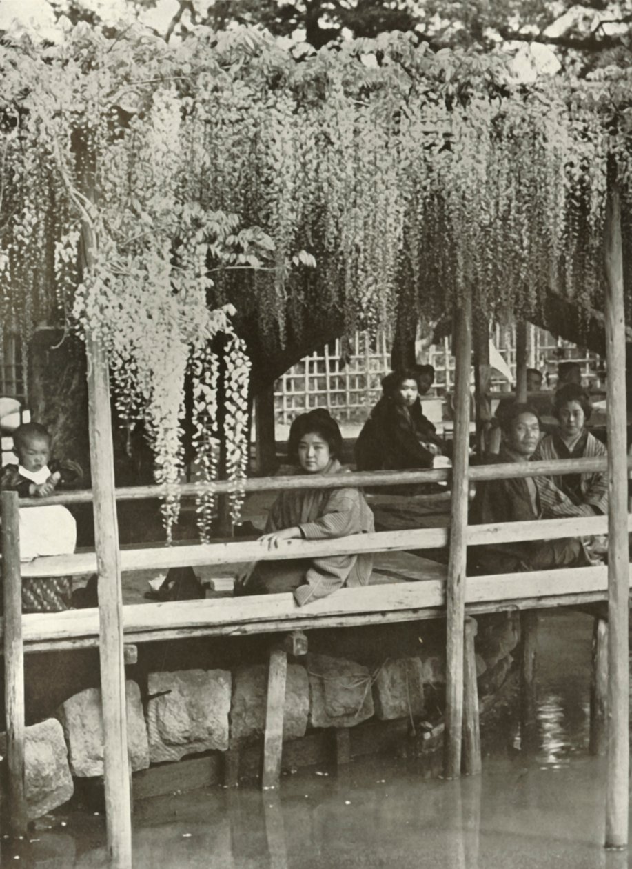 A Wisteria Arbor ved Kameido, 1910. av Herbert Ponting
