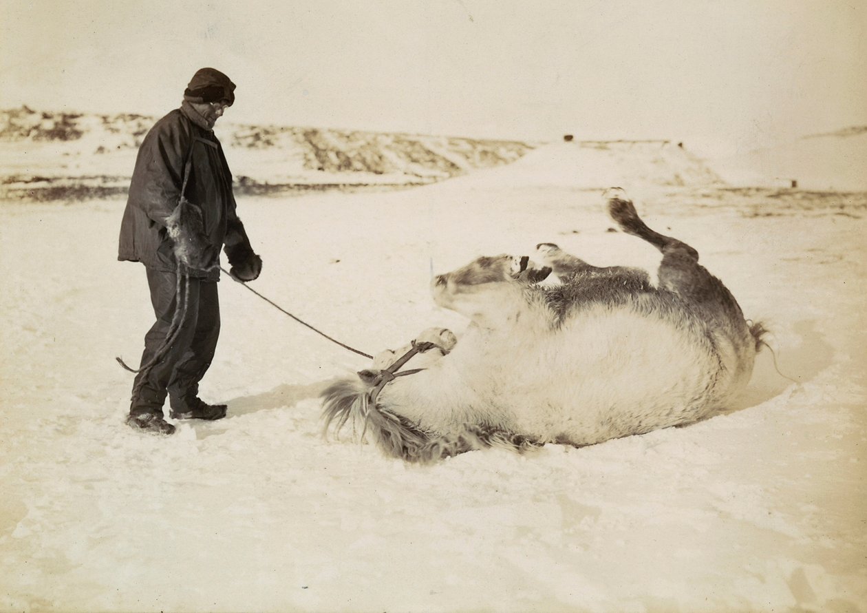  av Herbert Ponting