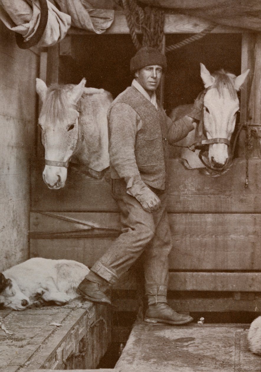 Kaptein Oates og ponnier på Terra Nova, c1910-1912, 1913. av Herbert Ponting