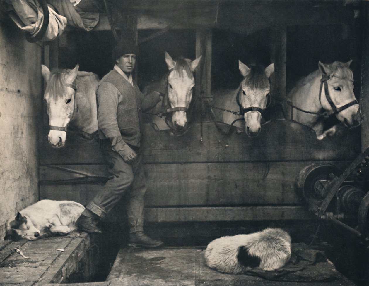 Kaptein Oates, på Terra Nova med de sibirske ponniene, c1911, 1914. av Herbert Ponting