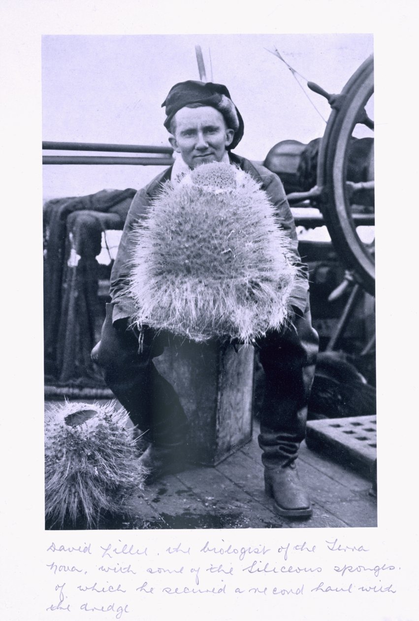 David Lille, biolog i 