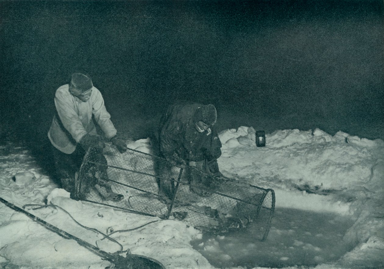 Dr. Atkinson og Clissold Hauling Up The Fish-Trap, 28. mai 1911, 1913 av Herbert Ponting