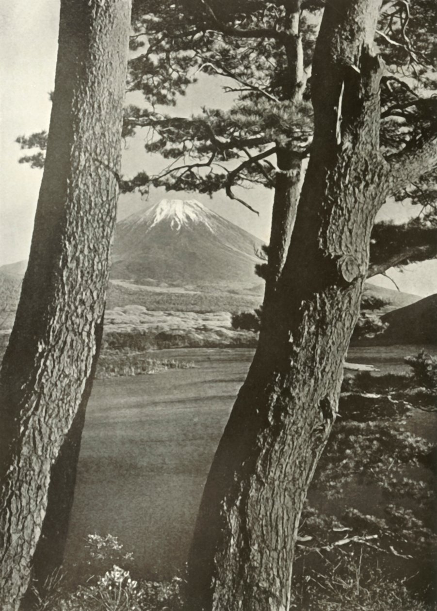 Fuji Through the Pines of Lake Motosu, 1910. av Herbert Ponting