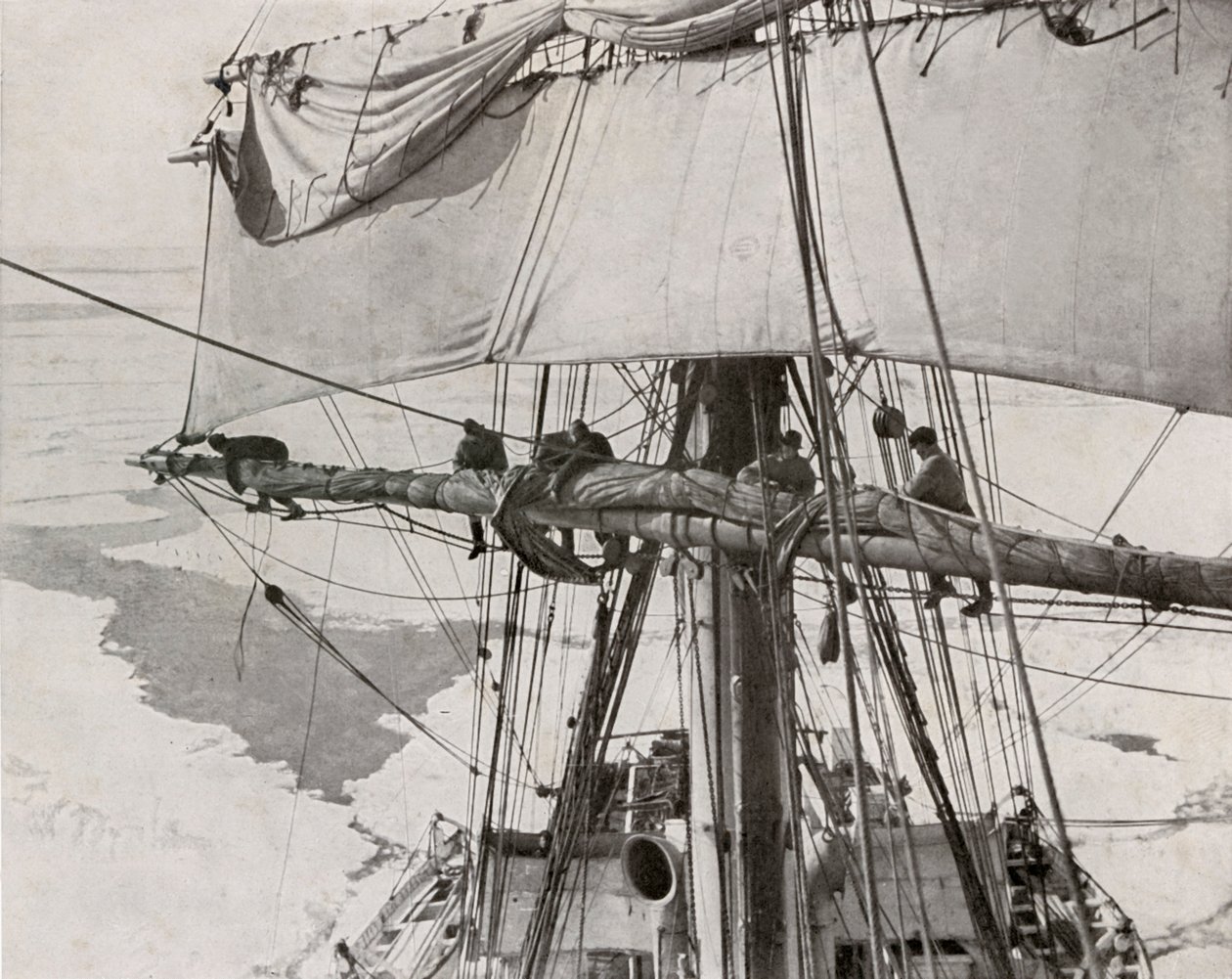 Rulleseil i flokken, c19101913, 1913 av Herbert Ponting