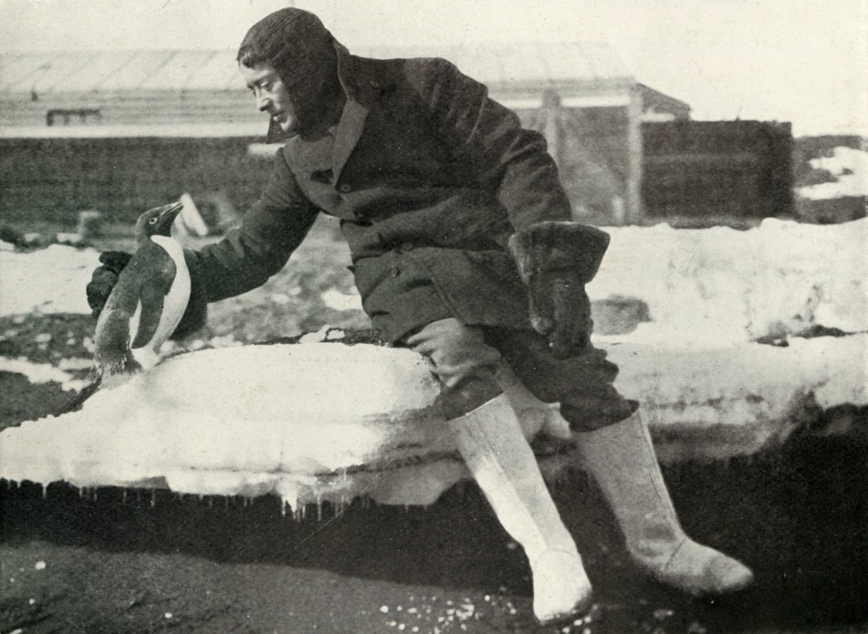 Løytt. Rennick og en vennlig pingvin, 1911, 1913 av Herbert Ponting