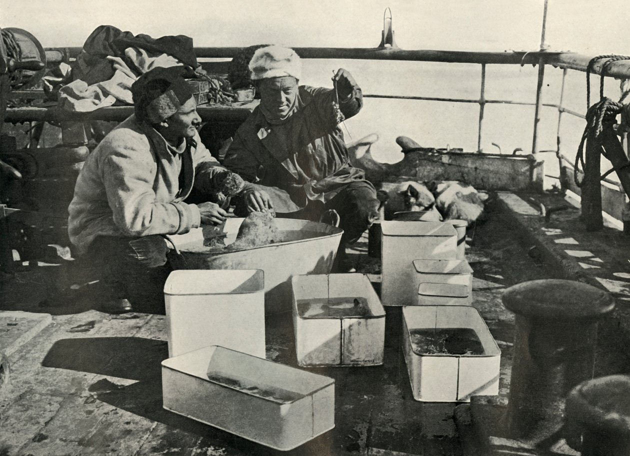 Lillie og Dr. Levick sorterer en trålfangst, c19101913, 1913 av Herbert Ponting