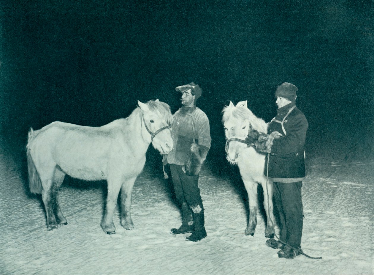 Underoffiserer Crean og Evans trener ponniene sine om vinteren, 1911, 1913 av Herbert Ponting