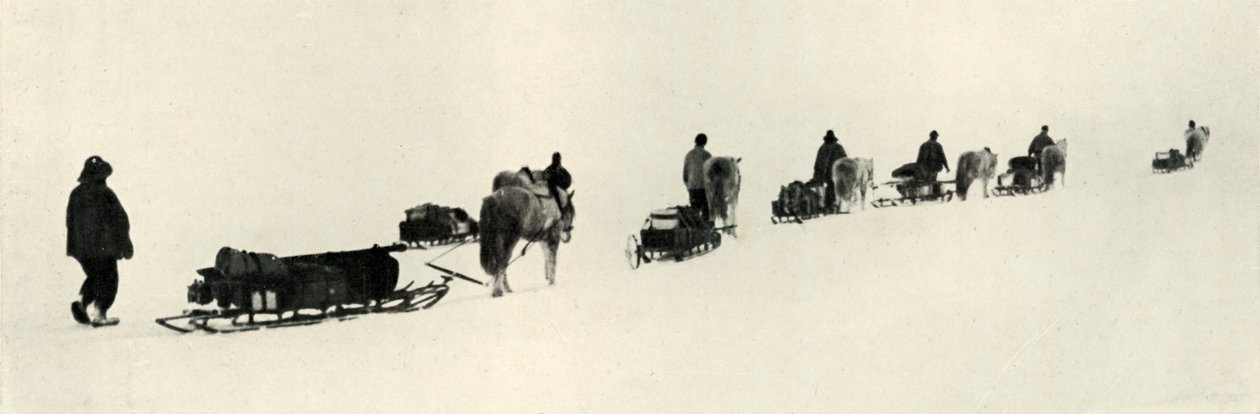 Ponnier i mars 1911, 1913 av Herbert Ponting