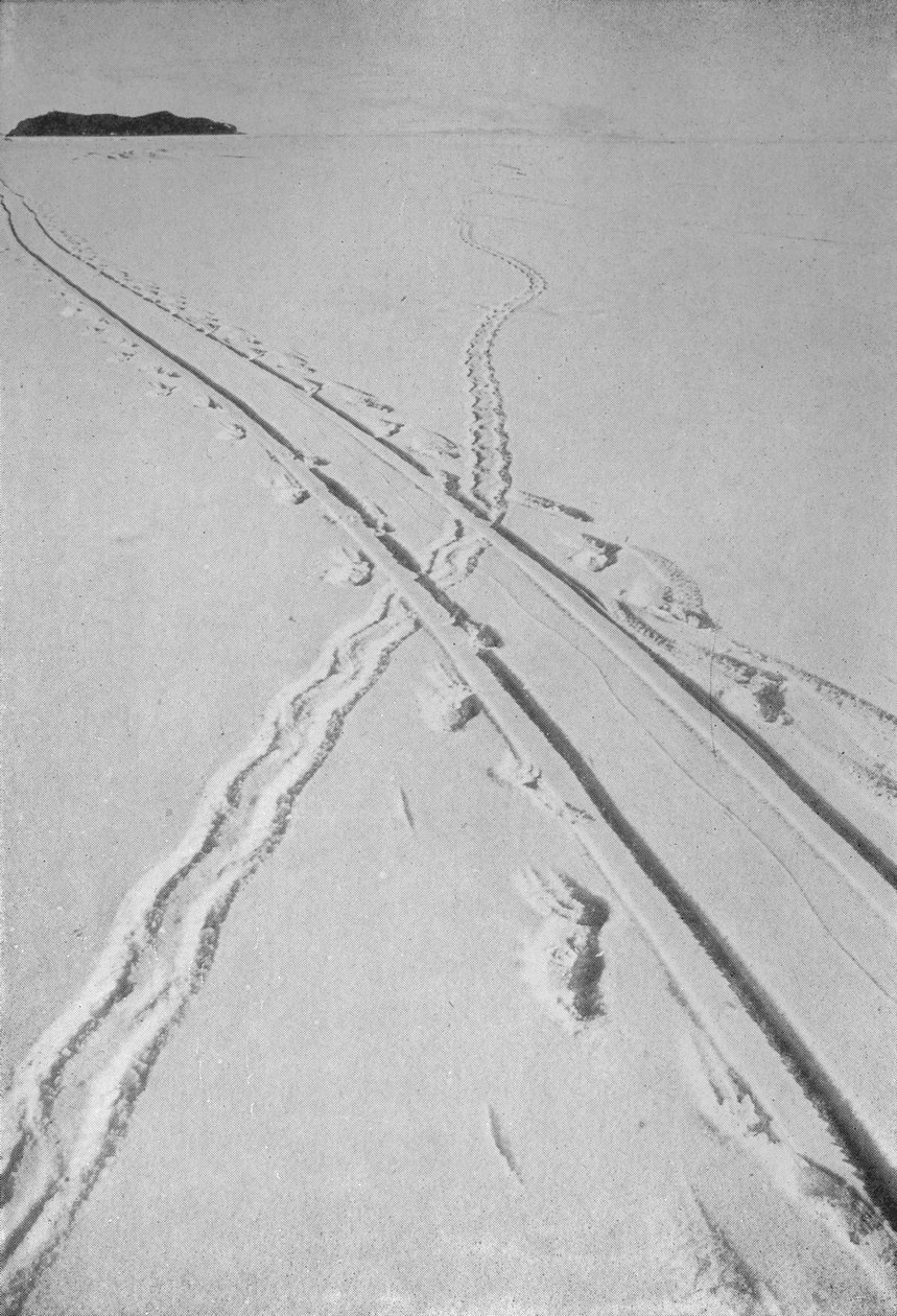 Sledge Track Crossing An Adélie Penguins Track, 8. desember 1911, 1913 av Herbert Ponting