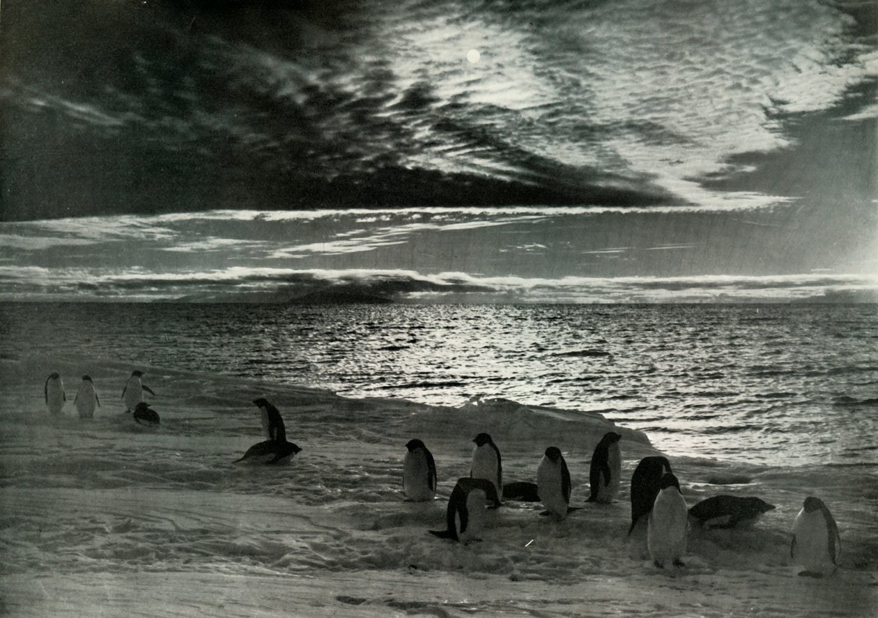 Midnattssolen i McMurdo Sound, c19101913, 1913 av Herbert Ponting
