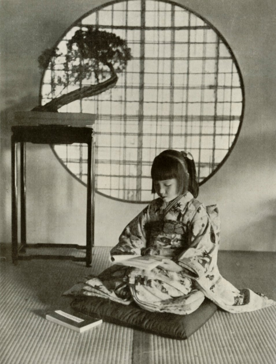 Bildeboken, 1910. av Herbert Ponting