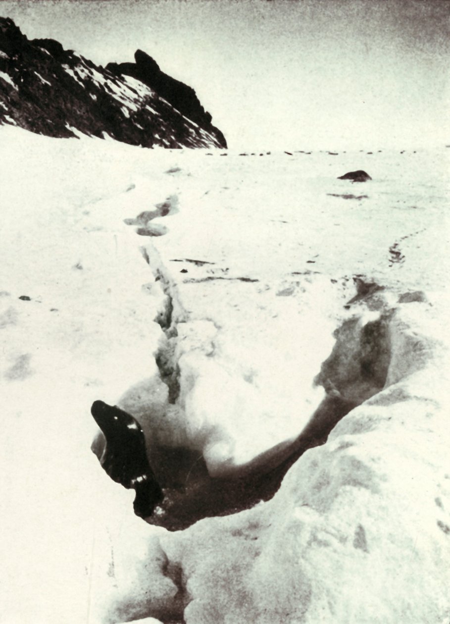 Tidevannet på Razorback Island, 1911, 1913 av Herbert Ponting