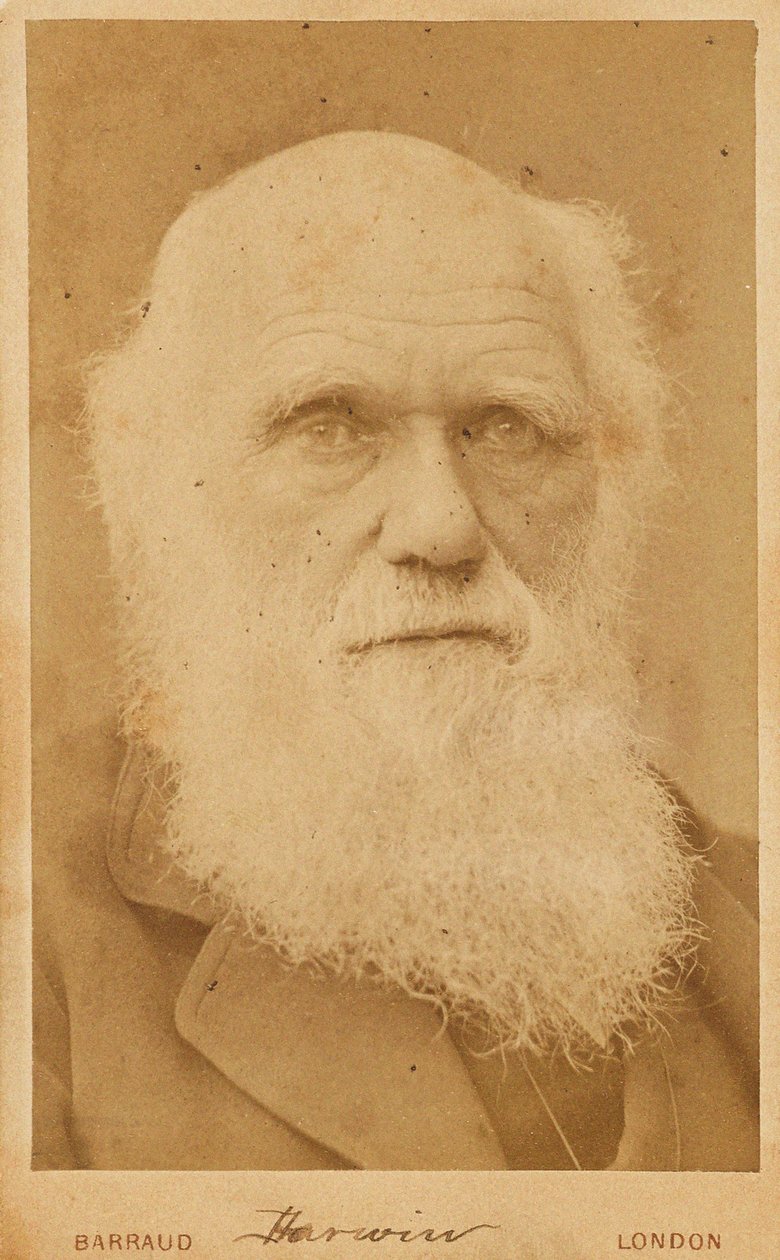 Portrett av Charles Darwin 1809-1882, 1881. av Herbert Rose Barraud