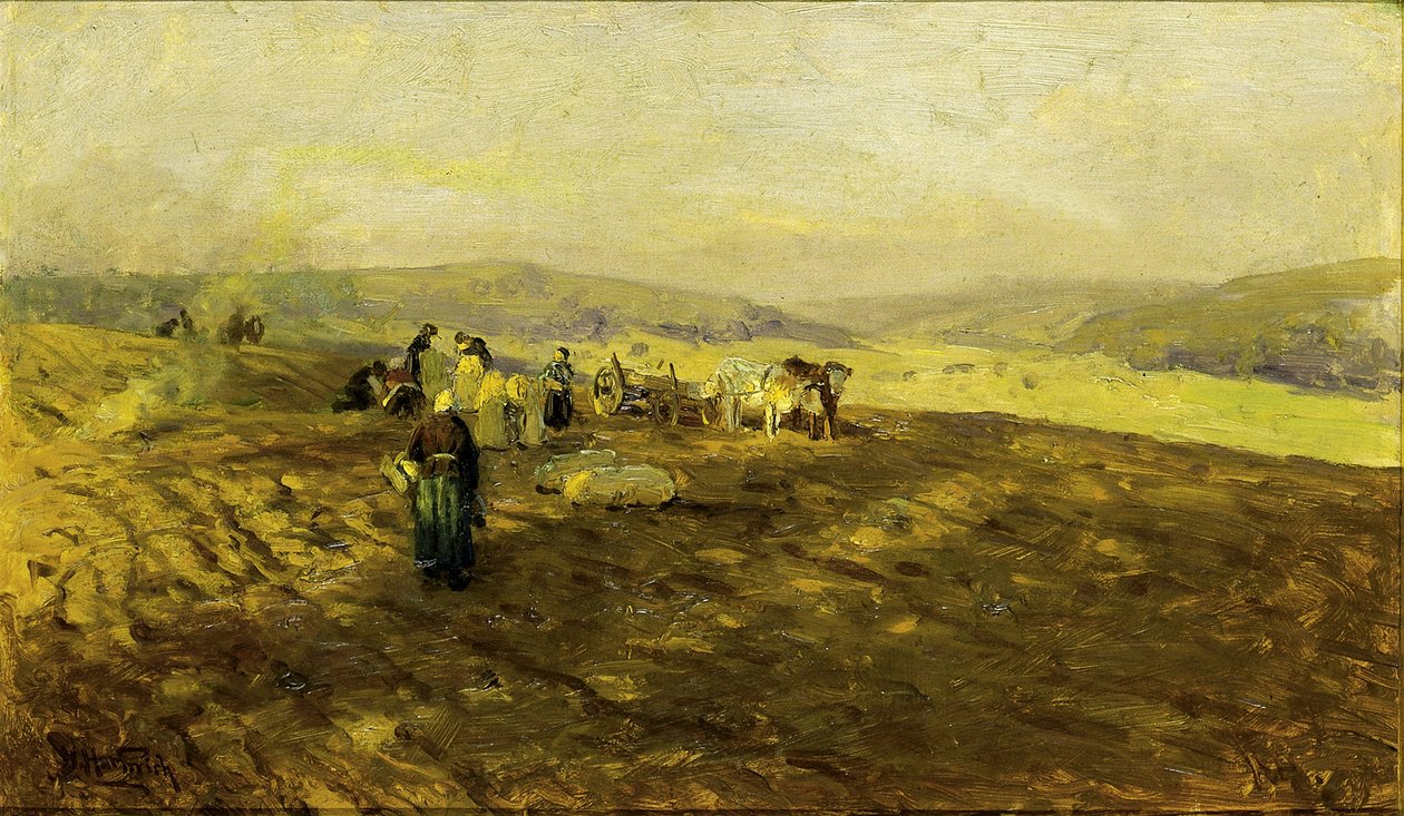 av Herman Hartwich
