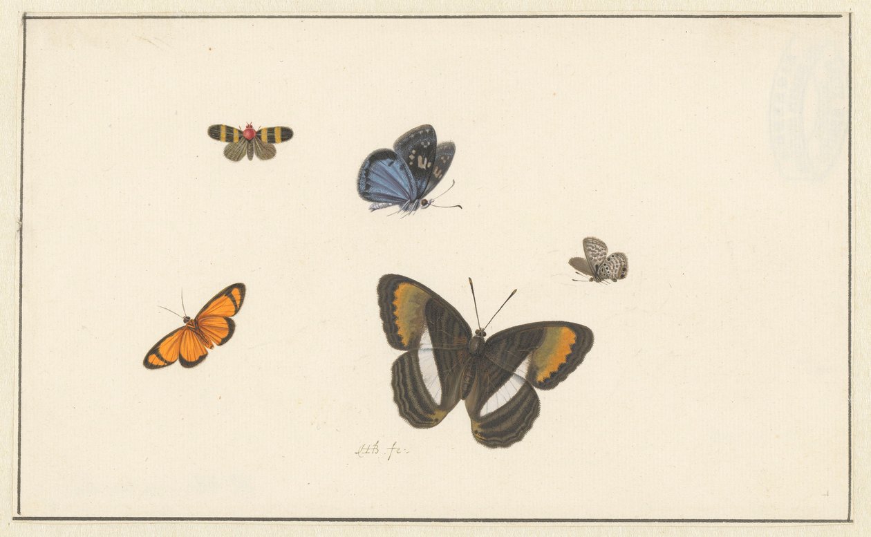 Fem sommerfugler (akvarell og gouache) av Herman Henstenburgh
