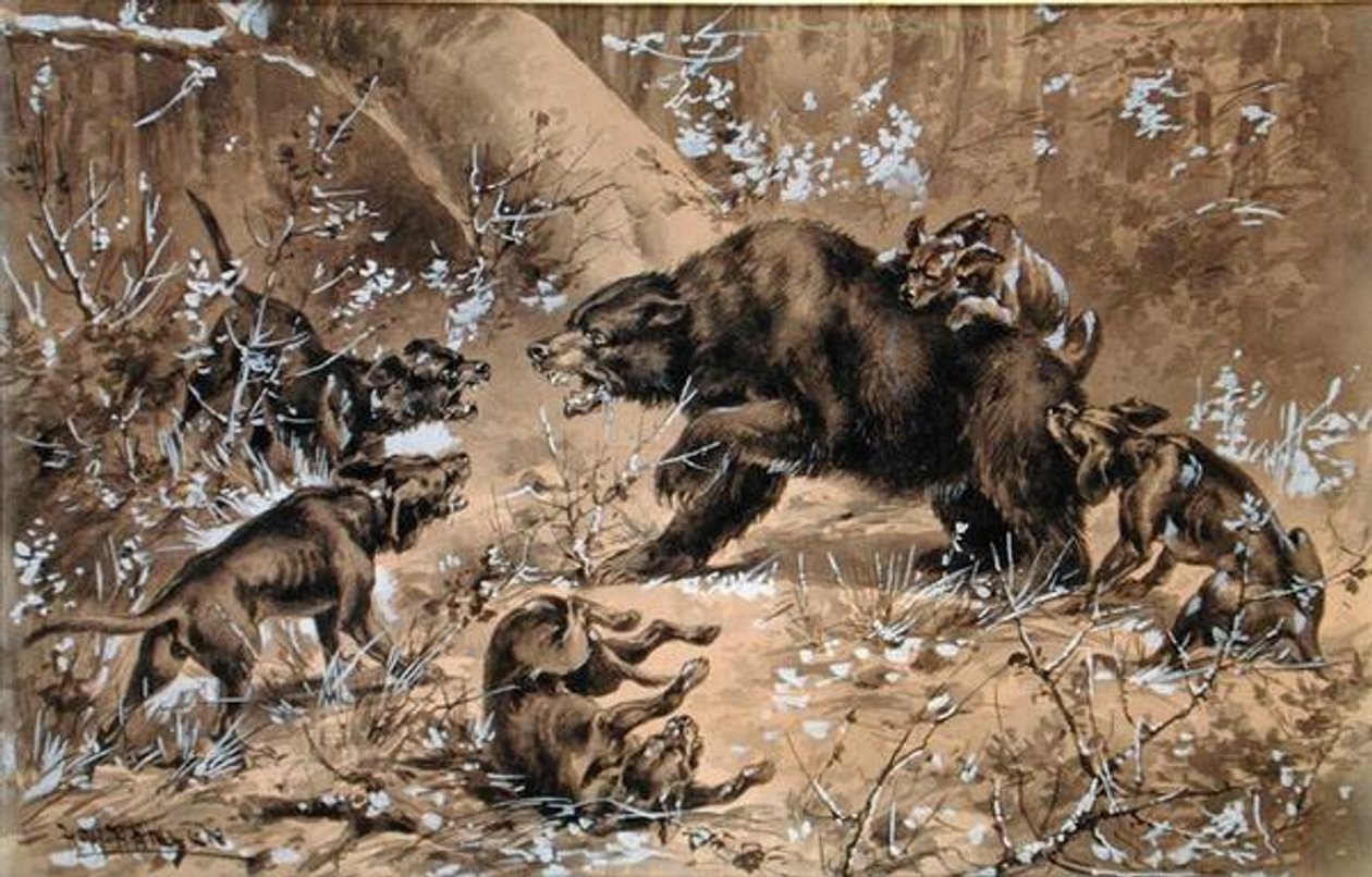 Bear Hunt (akvarell og kinesisk hvit på papir) av Herman Wendleborg Hansen