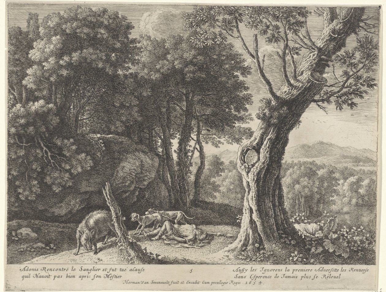 Adonis død Story of Adonis (serietittel) av Herman van Swanevelt