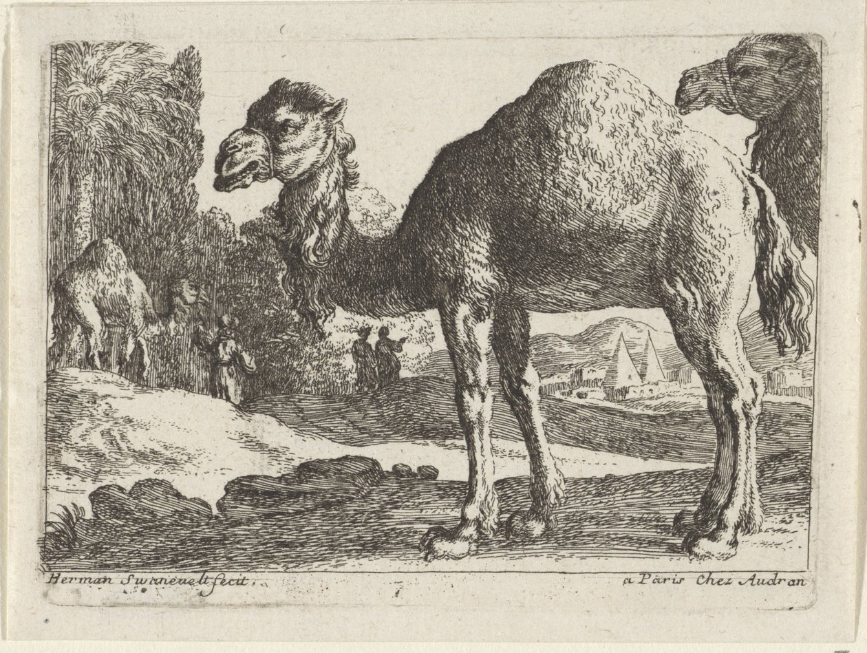kameler Landskap med dyr (serietittel) av Herman van Swanevelt
