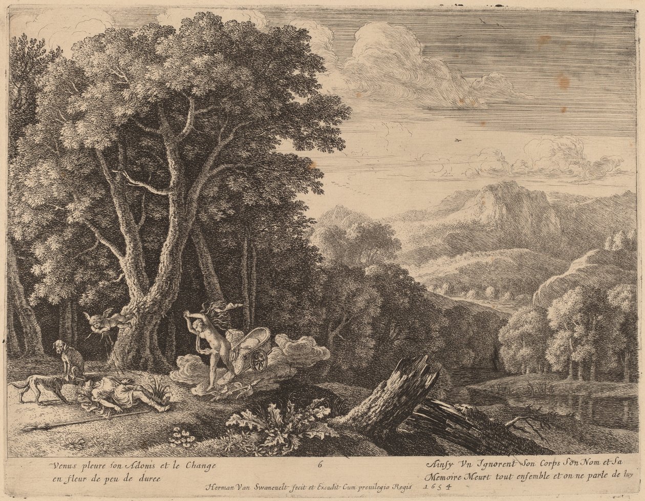 Venus klager over Adonis