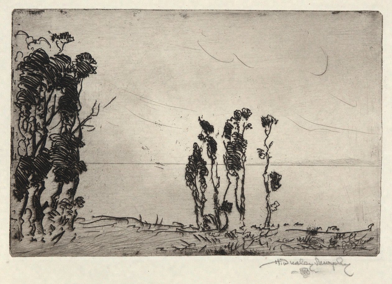 Strandlandskap av Hermann Dudley Murphy