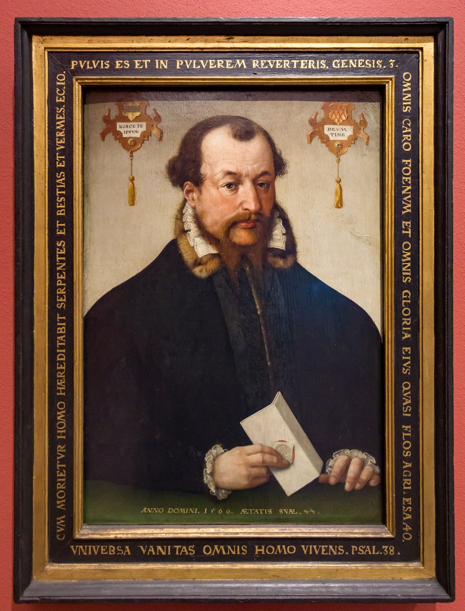  av Hermann Tom Ring