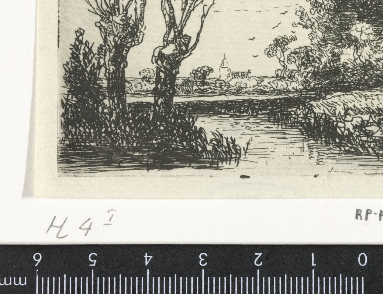 Landskap med to fjellvidjer av Hermanus Jan Hendrik van Rijkelijkhuysen