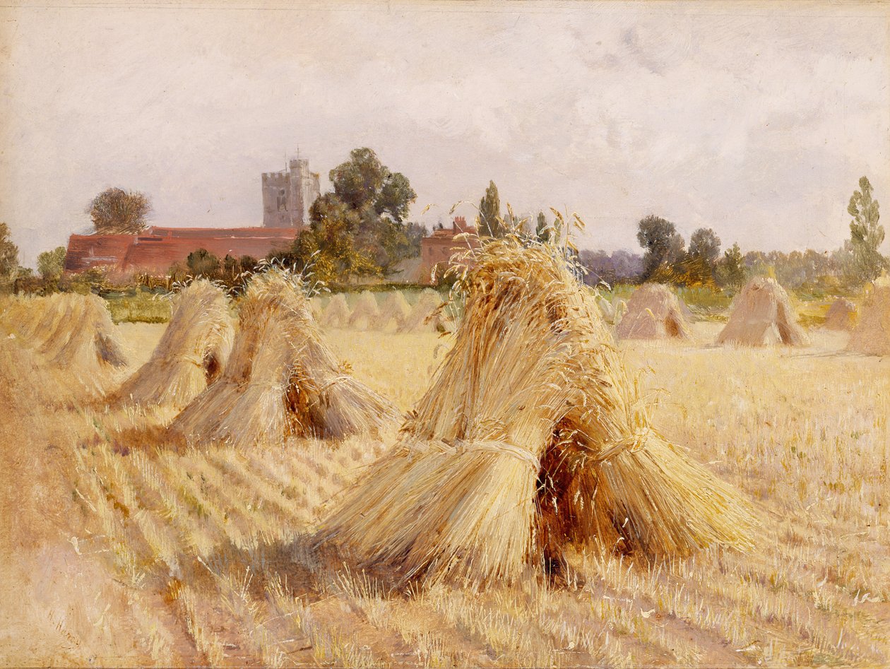 Corn Stooks av Bray Church, 1872 (olje på papir lagt om bord) av Heywood Hardy