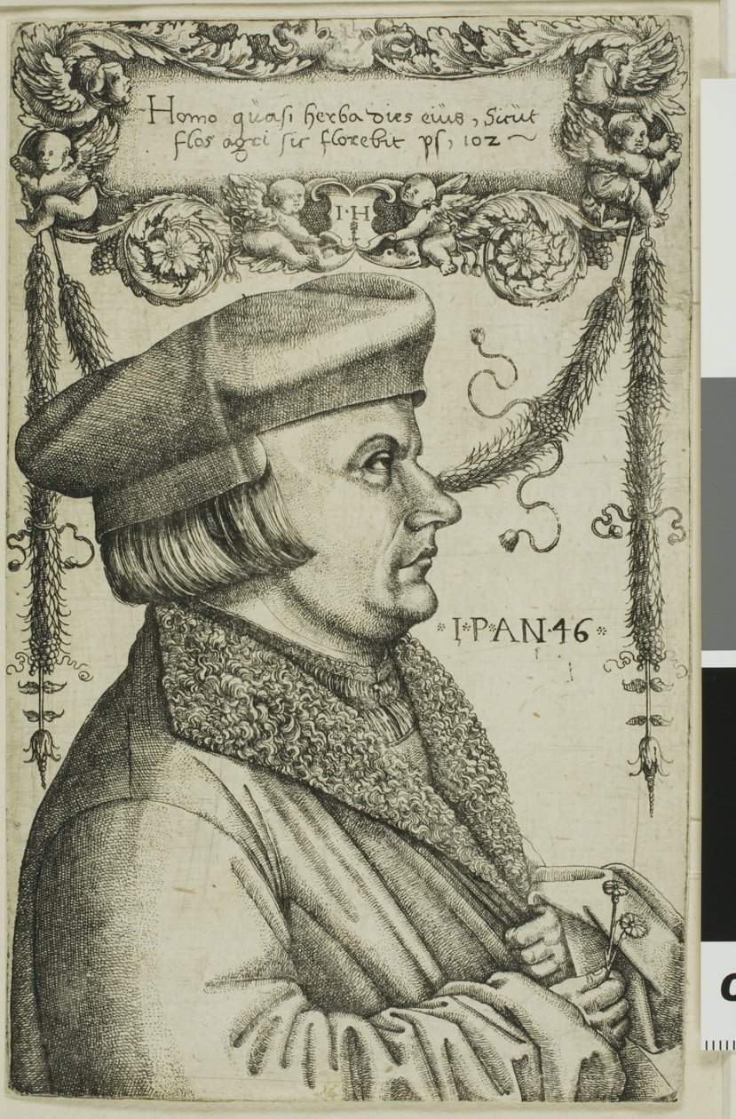 Portrett av en mann av Hieronymous Hopfer