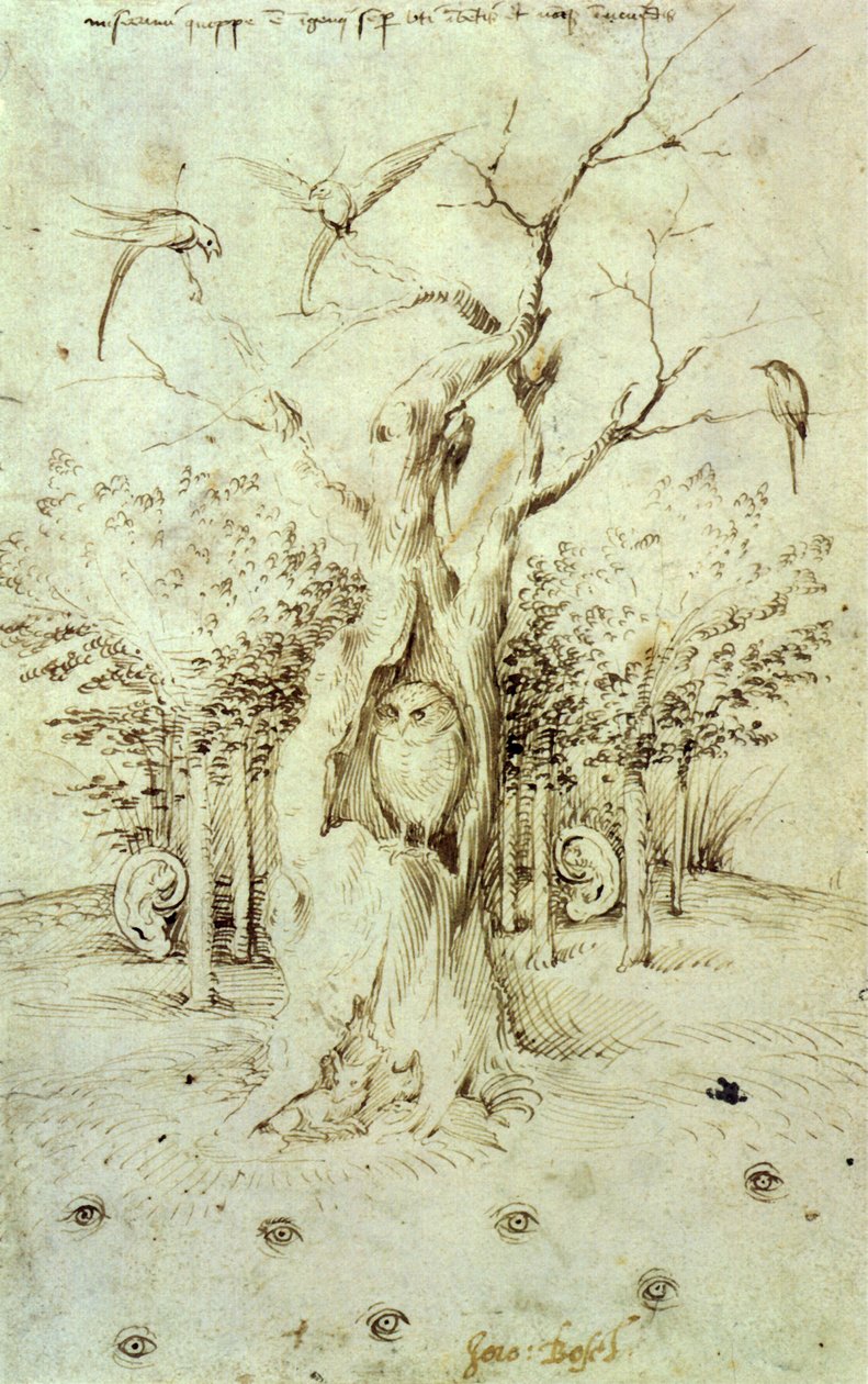 Skogen som hører og feltet som ser av Hieronymus Bosch