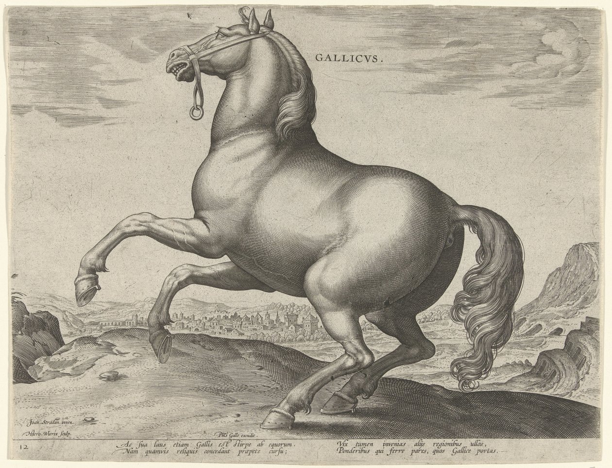 Hest fra Frankrike (Gallicus) Gallicvs (tittel på objekt) Hesteraser fra Royal Stables of Don Juan of Austria (serietittel) Equile Ioannis Austriaci Caroli (serietittel) av Hieronymus Wierix