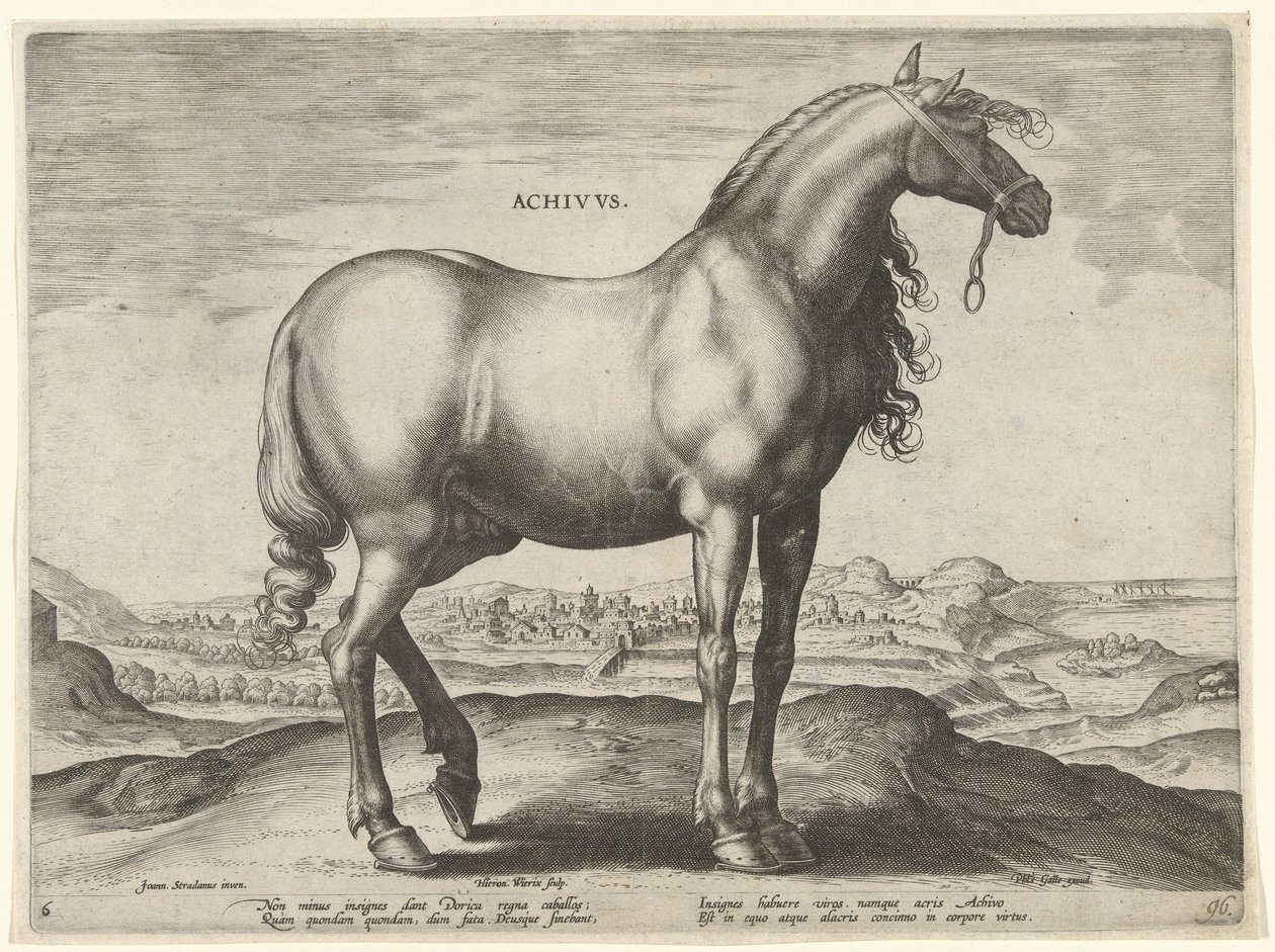 Hest fra Hellas (Achivus) Achivvs (tittel på objekt) Hesteraser fra den kongelige stallen til Don Juan av Østerrike (serietittel) Equile Ioannis Austriaci Caroli (serietittel) av Hieronymus Wierix